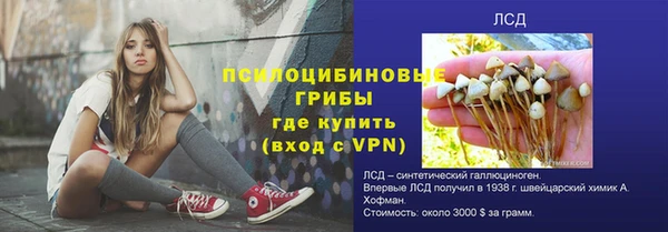 крисы Киреевск