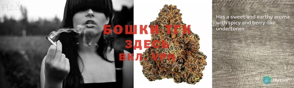 прущая мука Кинешма